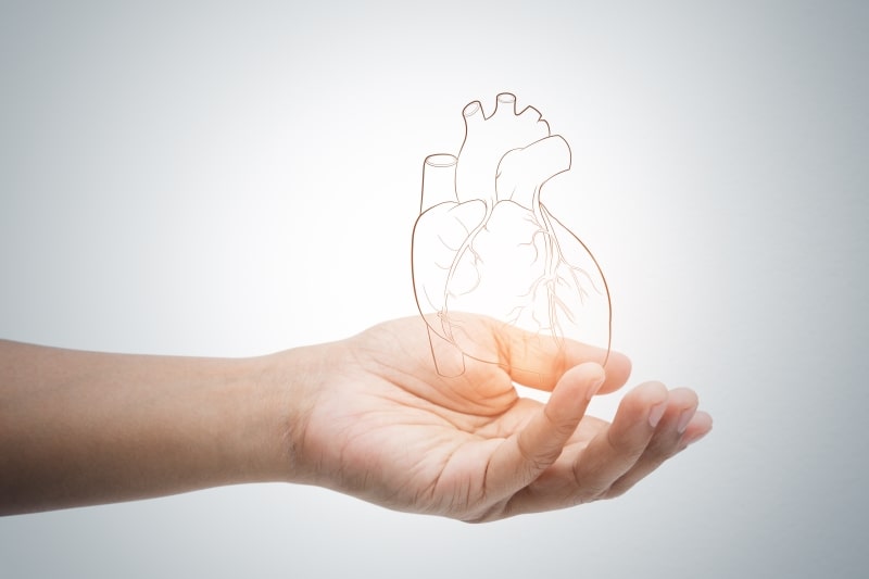 Razlika između srca i uma